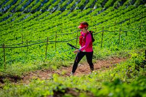 BIB: 
                            <button type="button" onclick="openModal(19163009)" class="btn btn-primary btn-sm float-right btn-popup" data-toggle="modal" data-target=".modal-high-quality">
                        <i class="fas fa-shopping-cart"></i> Add to Cart
                    </button>
                                            <button type="button" onclick="isThisMe(19163009, true)" class="btn btn-success btn-sm float-right btn-popup btn-isme hidden" data-toggle="tooltip" data-placement="bottom" title="นี่คือรูปของคุณใช่ไหม คลิกที่นี่เพื่อเอาเข้าอัลบั้ม">
                        <i class="fas fa-plus"></i> Add to album
                    </button>
                    <button type="button" onclick="isThisMe(19163009, false)" class="btn btn-warning btn-sm float-right btn-popup btn-isnotme hidden">
                        <i class="fas fa-ban"></i> Remove from album
                    </button>